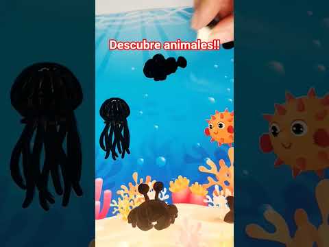 Descubre animales!