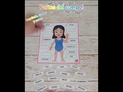 Partes del cuerpo