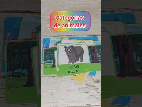 Categorías de animales!