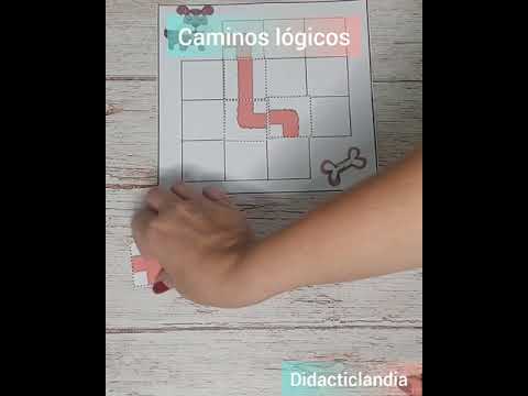 Caminos Lógicos!