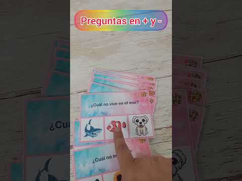 Preguntas en + y -