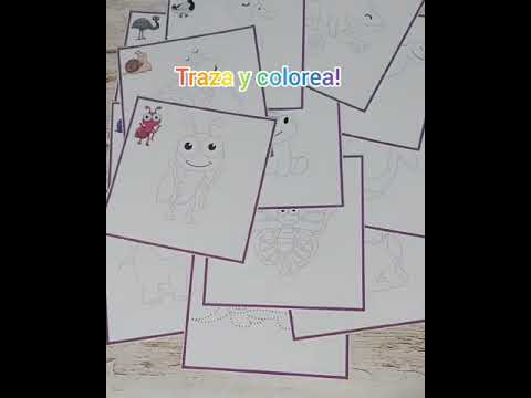 Colorea y traza animales!