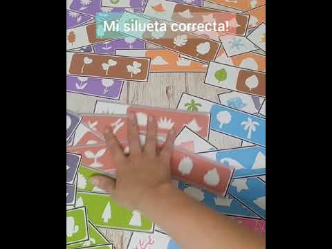 Mi silueta correcta
