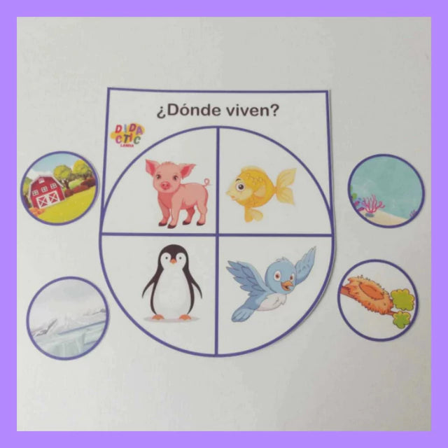 Responde con lógica!
