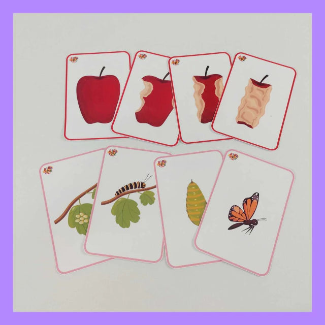 Tarjetas de secuencias temporales