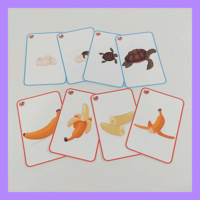 Tarjetas de secuencias temporales