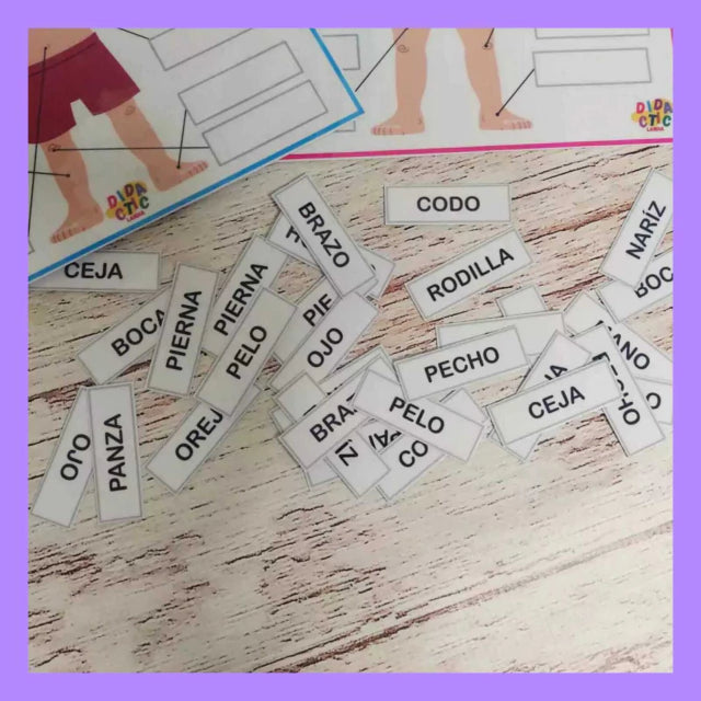Partes del cuerpo