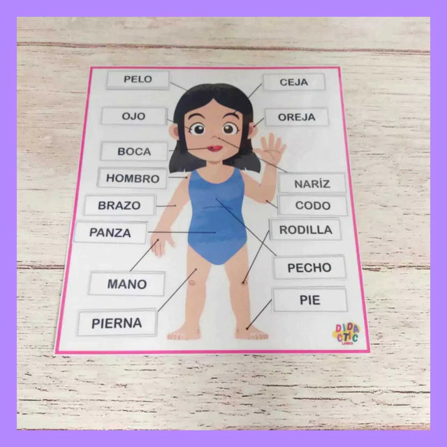Partes del cuerpo