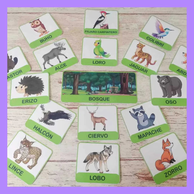 Categorías de animales!