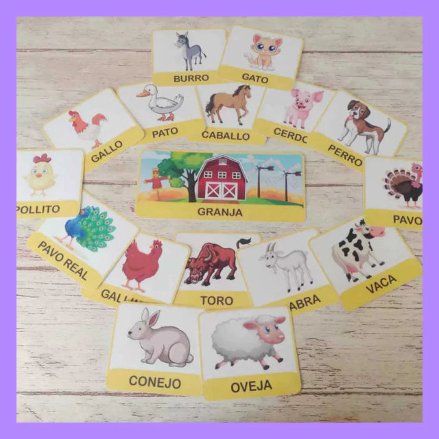 Categorías de animales!