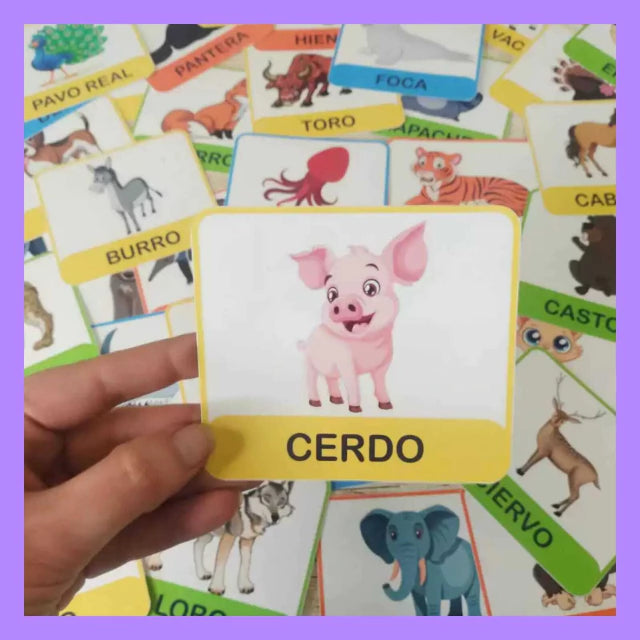 Categorías de animales!